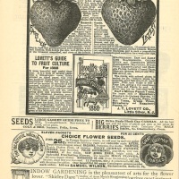 ADVERTISING - FOOD - 1862-1939